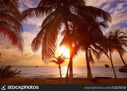 Isla Mujeres island Caribbean beach sunset palm trees Riviera Maya in Mexico