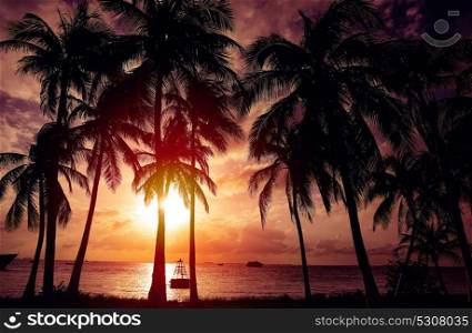 Isla Mujeres island Caribbean beach sunset palm trees Riviera Maya in Mexico
