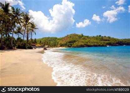 Island in ocean, sand beach, palm trees