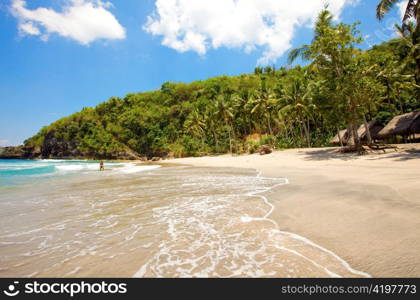 Island in ocean, sand beach, palm trees and girl