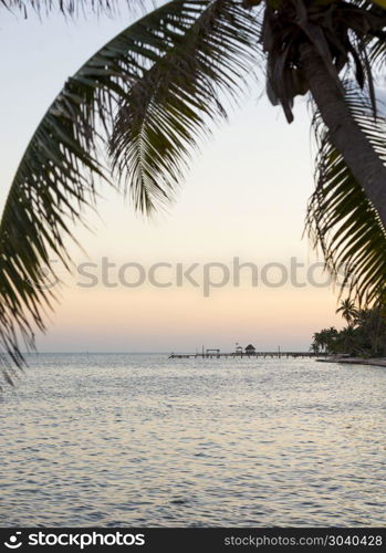 Island Palmtree Over Sea. Island palmtree over the sea in a scene of silence
