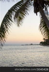 Island Palmtree Over Sea. Island palmtree over the sea in a scene of silence