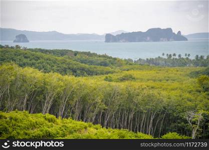 Island panoramic view from Rice Paddy Viewpoint in Phuket, Thailand