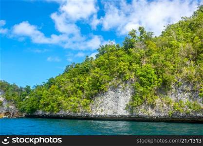 Islands of Indonesia. Raja Ampat Archipelago. The edge of a rocky island, overgrown with tropical vegetation. Green Rock on a Tropical Island in Indonesia