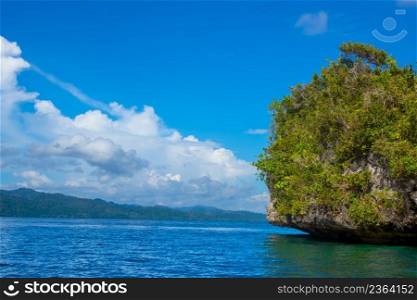 Islands of indonesia. Raja Ampat. The edge of a rocky island, overgrown with tropical vegetation. Green Rock in Indonesia