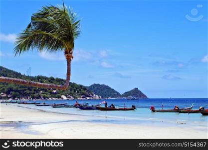 isle asia in kho phangan thailand bay beach rocks pirogue palm and south china sea