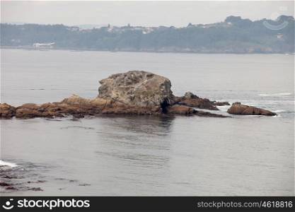 Islet in the sea at low tide