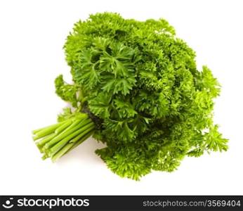 isolated big banch of a parsley
