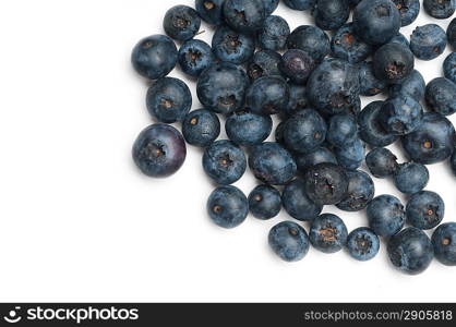 isolated blueberry