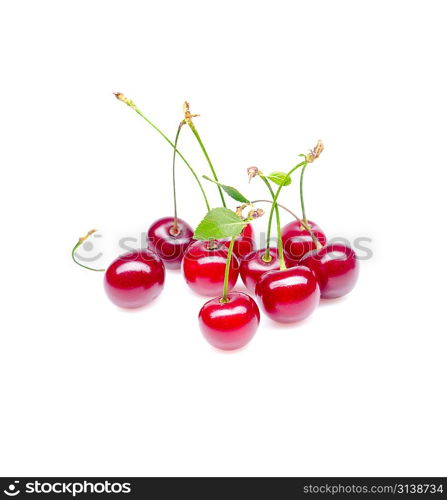 Isolated cherry