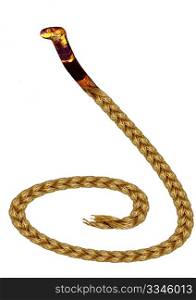 Isolated Expression At the end of my rope (At ropes end) ? there is a poisonous snake