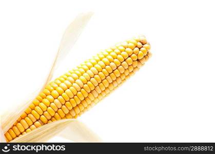 Isolated fresh corn