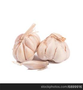 Isolated garlic. Raw garlic isolated on white background. Isolated garlic. Raw garlic isolated on white background.