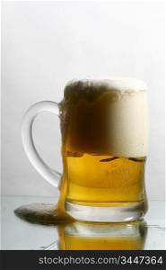 isolated golden beer in glass