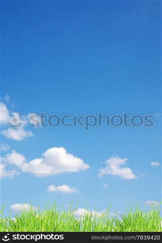 Isolated green grass on a blue background&#xA;