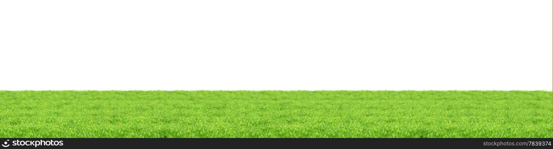 Isolated green grass on a white background&#xA;