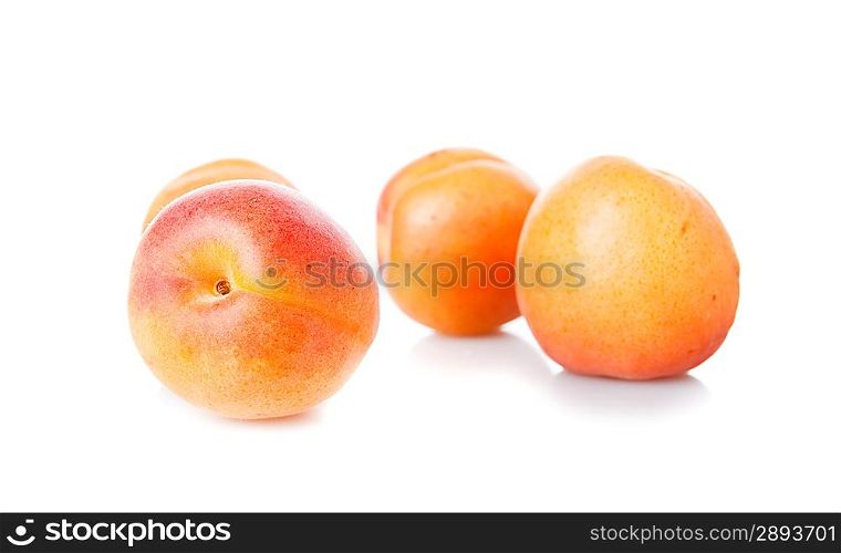 Isolated group of apricots