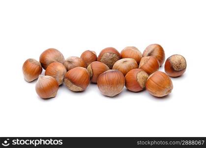 Isolated hazelnuts