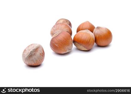 Isolated hazelnuts