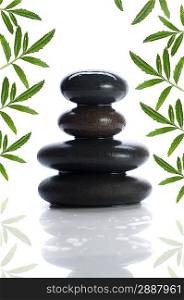 Isolated massage stones with green tree leaf