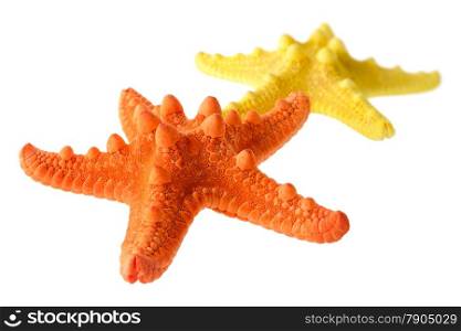 Isolated objects: two starfish, orange and yellow, isolated on white background, closeup shot, perspective blur