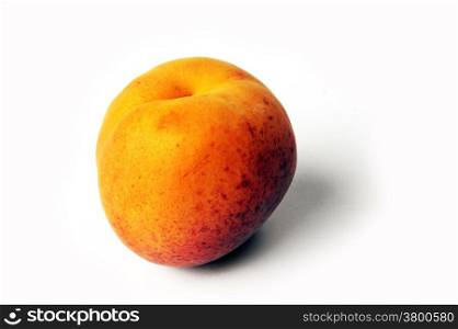 isolated on white background in studio apricot