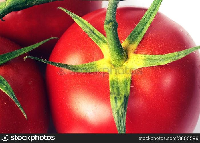 isolated on white background in studio tomato