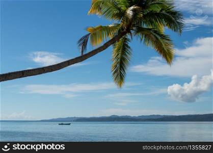 Isolated palm tree in horizontal over the sea in the tropical landscape.