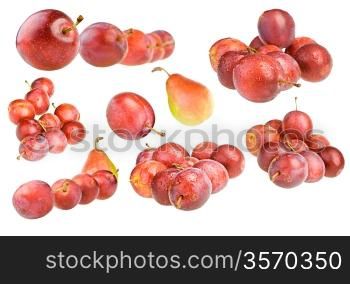 isolated plum colection