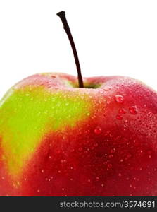 isolated red apple close up