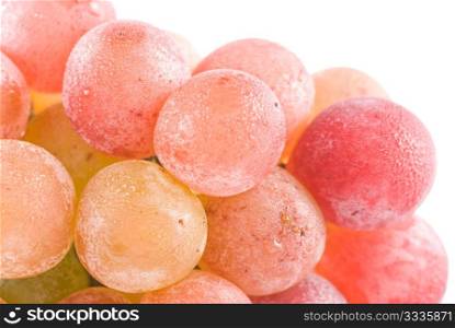 Isolated red grape fruit in white background