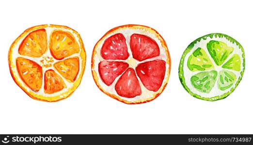 Isolated slices of orange, grapefruit and lime. Tropical refreshing exotic. Summer concept. Watercolor illustrations.. Isolated slices of orange, grapefruit and lime.