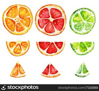 Isolated slices of orange, grapefruit and lime. Tropical refreshing exotic. Summer concept. Watercolor illustrations.. Isolated slices of orange, grapefruit and lime.