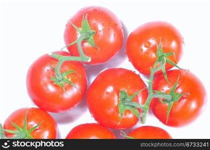 Isolated tomatoes.