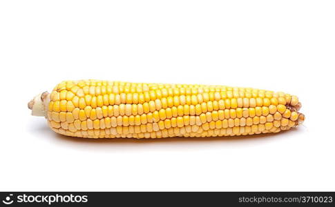 Isolated two fresh corns