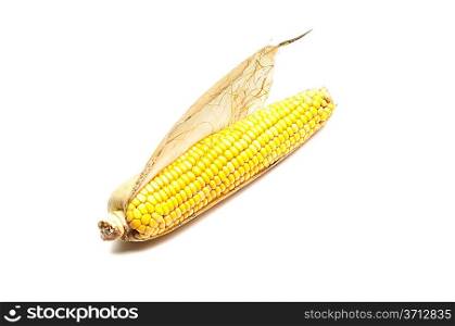Isolated two fresh corns