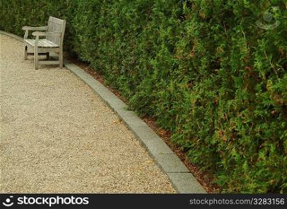 Isolated wooden park bench next to hedge.