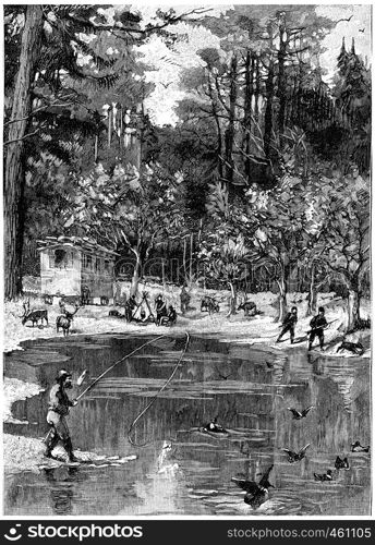 It was like an oasis, vintage engraved illustration. Jules Verne Cesar Cascabel, 1890.