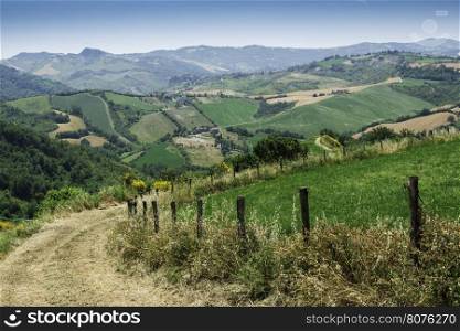 Italian agriculture village. Fence and meadow
