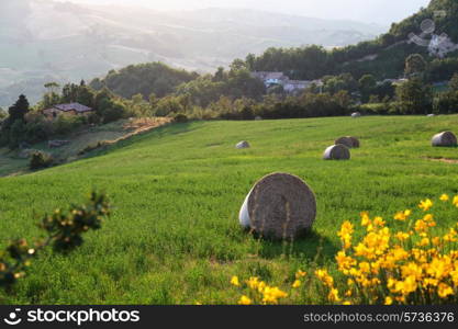 Italian countryside landscape in Tuscany