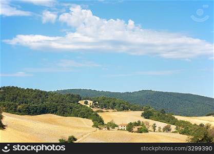 Italian countryside: typical tuscan hills. Italy