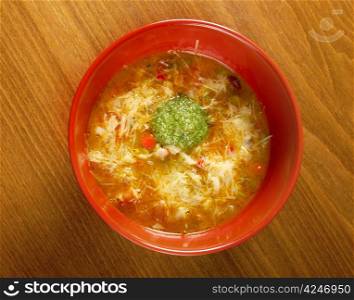 Italian cuisine.Minestrone vegetable soup
