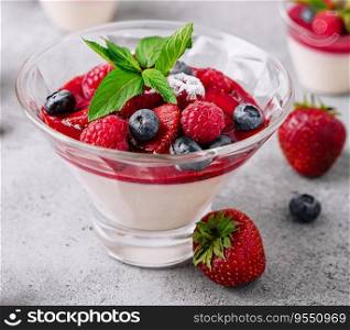 Italian dairy dessert panna cotta with raspberry jam