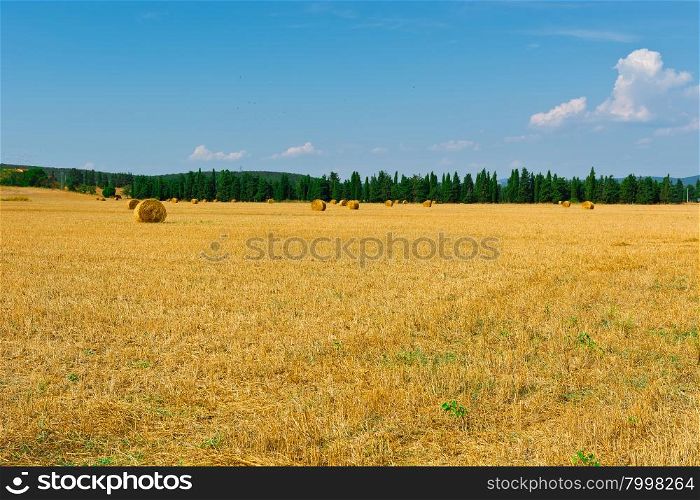 Italian Landscape with Many Hay Bales