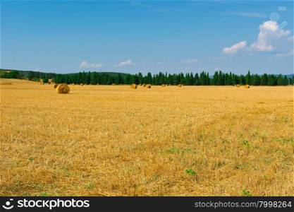 Italian Landscape with Many Hay Bales