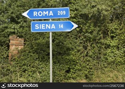 Italian street signs with overgrown vegetation pointing to Rome and Siena.