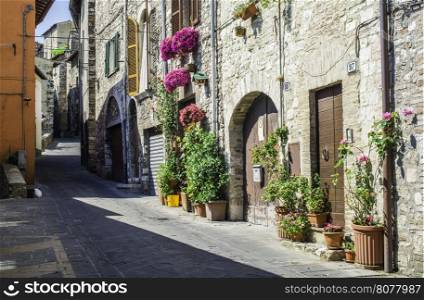 Italian typical houses. Stone buildings and flowers