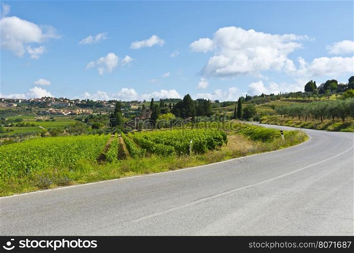 Italian Village near the Road Surrounded by Vineyards and Olive Groves
