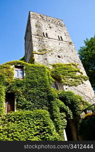 Italy - a Middle Age castle covered by ivy