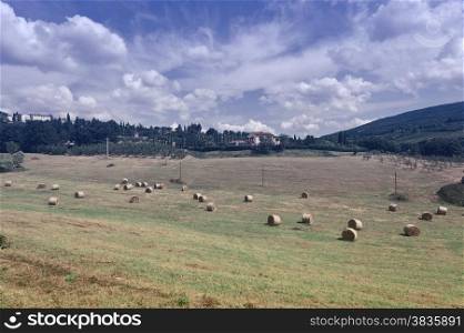 Italy Landscape with Many Hay Bales, Vintage Style Toned Picture